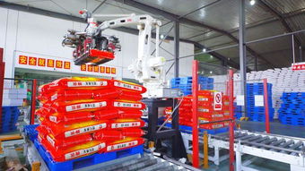 湖北大米加工企业首台 机器人 亮相康宏粮油